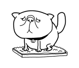 Exotic Shorthair Sticker sticker #12977748