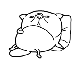 Exotic Shorthair Sticker sticker #12977751