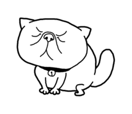Exotic Shorthair Sticker sticker #12977754