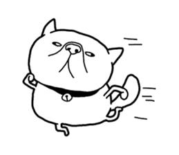 Exotic Shorthair Sticker sticker #12977764