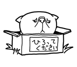 Exotic Shorthair Sticker sticker #12977765