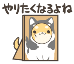 a lazy Shiba Inu 3 sticker #12977862