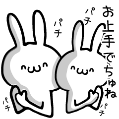 Twins rabbit
