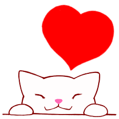 White cat "shiromaru" 1