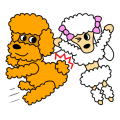 JIN-JIN Poodle Life (4th)