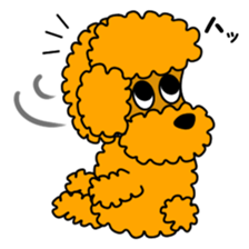 JIN-JIN Poodle Life (4th) sticker #12979000