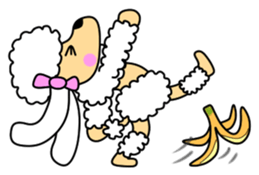 JIN-JIN Poodle Life (4th) sticker #12979011