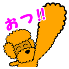 JIN-JIN Poodle Life (4th) sticker #12979016