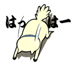 like the cat sticker #12979374