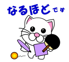 A white cat which plays table tennis sticker #12979440