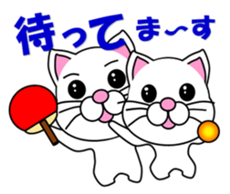 A white cat which plays table tennis sticker #12979444