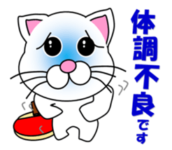 A white cat which plays table tennis sticker #12979461