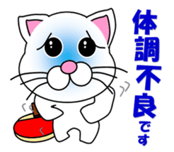 A white cat which plays table tennis sticker #12979461