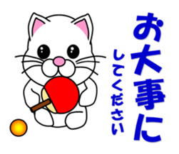 A white cat which plays table tennis sticker #12979462