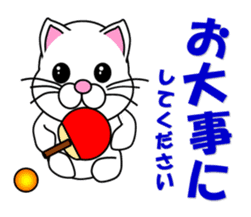 A white cat which plays table tennis sticker #12979462