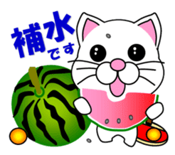 A white cat which plays table tennis sticker #12979471