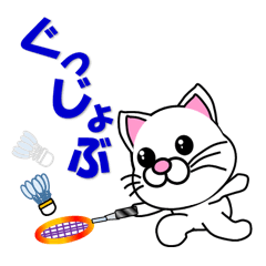 Badminton of a white cat