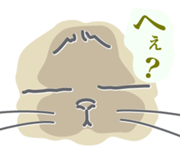 Cheeky Persian Cat Vol.3 sticker #12979644