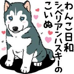 Wanko-Biyori Puppy of Siberian husky