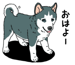 Wanko-Biyori Puppy of Siberian husky sticker #12980838