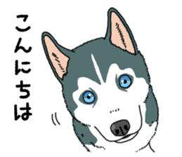 Wanko-Biyori Puppy of Siberian husky sticker #12980839