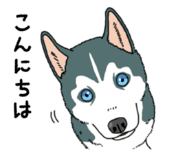 Wanko-Biyori Puppy of Siberian husky sticker #12980839