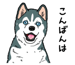 Wanko-Biyori Puppy of Siberian husky sticker #12980840