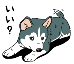 Wanko-Biyori Puppy of Siberian husky sticker #12980842