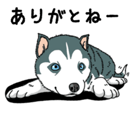 Wanko-Biyori Puppy of Siberian husky sticker #12980844
