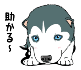 Wanko-Biyori Puppy of Siberian husky sticker #12980845
