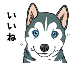 Wanko-Biyori Puppy of Siberian husky sticker #12980846