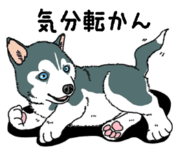 Wanko-Biyori Puppy of Siberian husky sticker #12980850