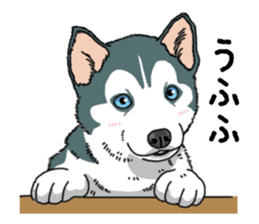 Wanko-Biyori Puppy of Siberian husky sticker #12980855