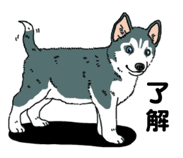 Wanko-Biyori Puppy of Siberian husky sticker #12980856