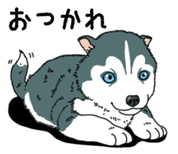 Wanko-Biyori Puppy of Siberian husky sticker #12980858