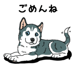 Wanko-Biyori Puppy of Siberian husky sticker #12980859