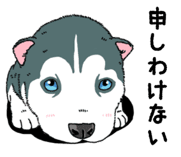 Wanko-Biyori Puppy of Siberian husky sticker #12980860
