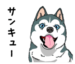 Wanko-Biyori Puppy of Siberian husky sticker #12980861