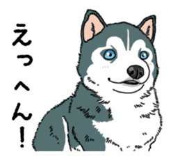 Wanko-Biyori Puppy of Siberian husky sticker #12980862