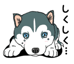 Wanko-Biyori Puppy of Siberian husky sticker #12980863