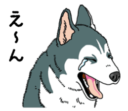 Wanko-Biyori Puppy of Siberian husky sticker #12980864