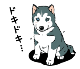 Wanko-Biyori Puppy of Siberian husky sticker #12980865