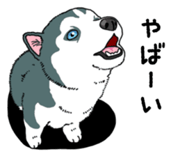 Wanko-Biyori Puppy of Siberian husky sticker #12980870