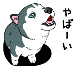 Wanko-Biyori Puppy of Siberian husky sticker #12980870