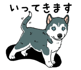 Wanko-Biyori Puppy of Siberian husky sticker #12980871
