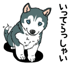 Wanko-Biyori Puppy of Siberian husky sticker #12980873