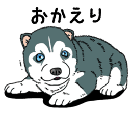 Wanko-Biyori Puppy of Siberian husky sticker #12980874