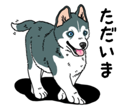 Wanko-Biyori Puppy of Siberian husky sticker #12980875
