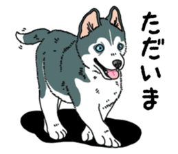 Wanko-Biyori Puppy of Siberian husky sticker #12980875