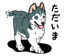 Wanko-Biyori Puppy of Siberian husky sticker #12980875